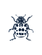 A Studious Bug - Home